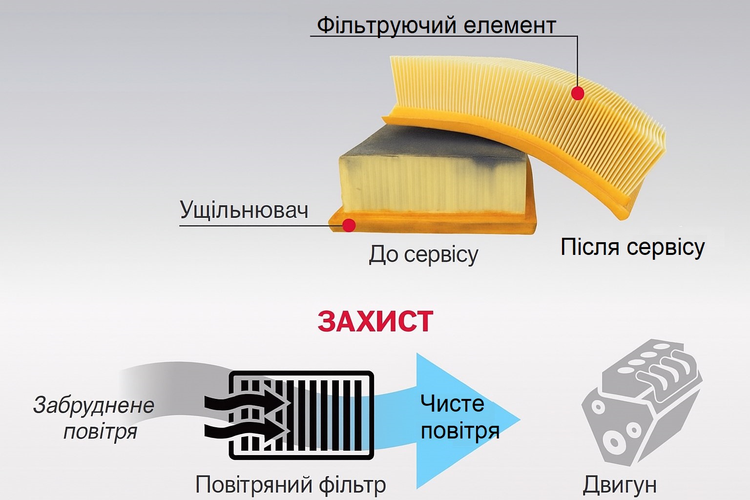 Моторне масло та масляний фільтр