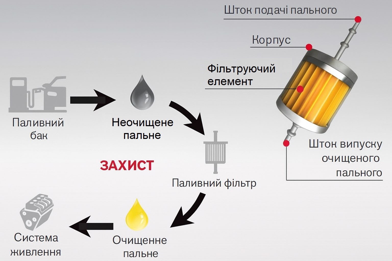 Моторне масло та масляний фільтр